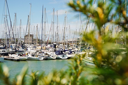 boats on the blue water with some nature in the foreground